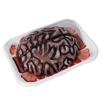 Cerveau factice Halloween avec barquette – 13 cm.