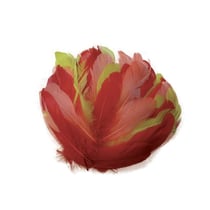 Graine Créative - Plumes nageoire d'oie teintes chaudes 20g