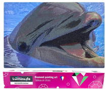 Diamond Painting Broderie Diamant LUMINLIFE 66x46cm, 5D, diamants ronds - Portrait Dauphin