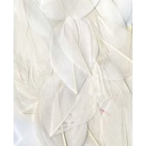 Plumes blanches 6 cm - Artemio