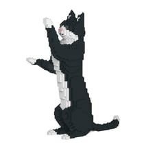 Chat Tuxedo noir debout | JEKCA | 14 ans et +