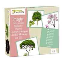 Avenue Mandarine - Imagier des arbres