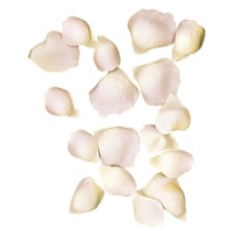 Pétales de roses Rose 3 et 4,5 cm 41 pièces