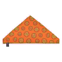 One Piece - Bandana & Berry Coins Nami