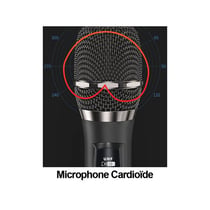 Avizar Microphones sans fil DSP 192KHz Pro pour Ampli / Enceinte Écran LED Portée 50m Bleu / Rouge
