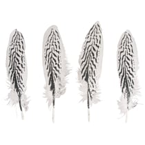 Plume déco Motif de zèbre, 20-22cm, 4pces
