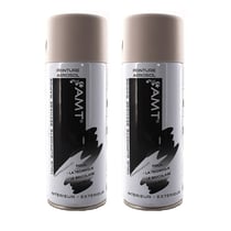 Lot de 2 sprays de peinture - gris clair mat - AMT