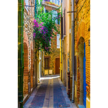 Tableau sur toile ruelle de Collioure 65x97 cm