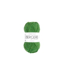 Pelote Ecoton Tweed - Bergère de France Cactus