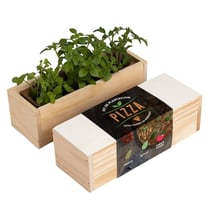 Resetea - Kit d'Auto-culture Pizza - Origan, basilic et tomate cerise