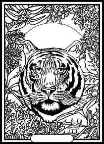 Tableau velours a colorier Tigre Sericolor