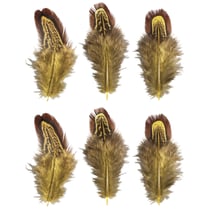 Plumes, jaune / brun, 5 - 10cm, 6 pces