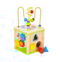 Cube d'actvités Insectes