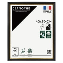 Cadre photo Pandore noir doré 40x50 cm