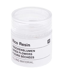 Matériau de Remplissage de Fleurs Séchées pour Résine - Créez des Bijoux Naturels - Rico Design Blanc