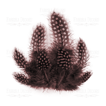 Plumes embelissement décoration scrapbooking Fabrika Décoru MARRON 042