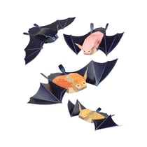 CHAUVES-SOURIS
