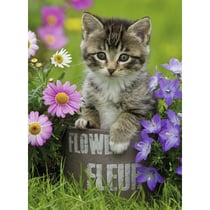 Puzzle xxl chaton parmi les fleurs 100 pieces - ravensburger - 10847