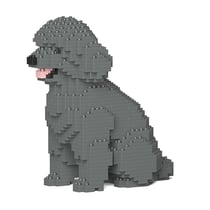 Chien Caniche Nain assis gris Taille standard | JEKCA | 14 ans et +