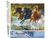 Peinture par Numéro Figured'Art - Chevaux de Camargue - Kit de Loisir Créatif DIY Numéro d'Art Complet - 40x50cm sans châssis en bois
