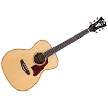 Premier Tammany Natural D'Angelico