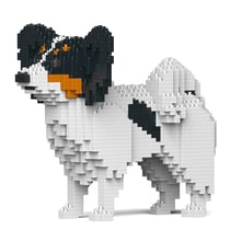 Chien Papillon noir Taille standard | JEKCA | 14 ans et +