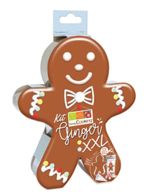 Ginger XXL  DIY