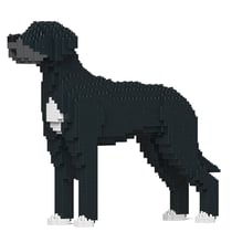 Chien Dogue Allemand noir Taille standard | JEKCA | 14 ans et +