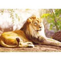 Puzzle le roi des animaux : lion couche - 1500 pieces collection vie sauvage - nathan - 87815