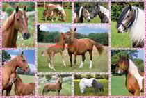 Puzzle 150 pièces - Rêves de Cheval - Schmidt Spiele