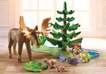 PLAYMOBIL ferrari Animaux de la fort d'amrique - 71403