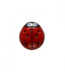 Carte de 3 boutons Coccinelle 15mm - Distrifil Multicolore