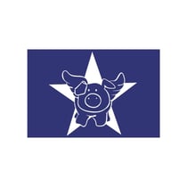 Pochoir spécial textile A5 Star-Pig + raclette