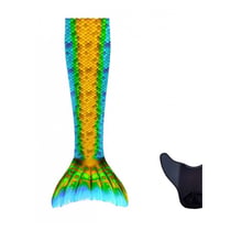 Queue De Sirene Avec Monopalme Aquaris Fiji M