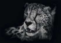 Puzzle 1000 pièces - Véloce – Le Guépard: Sous le Signe de la Grâce - Schmidt Spiele