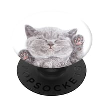 PopGrip Smartphone design chat Maintient Support Vidéo PopSockets