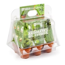 Mini-Serre Plantes Aromatiques Bio