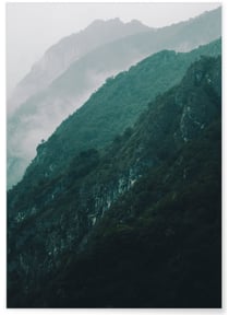 Poster Nature Brume | A3 : 29,7x42cm