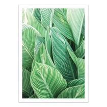 Affiche 30x40 cm - Tropical leaves - Gal Design