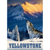 Puzzle 500 Pièces Loup Hurlant - ALLIPSON