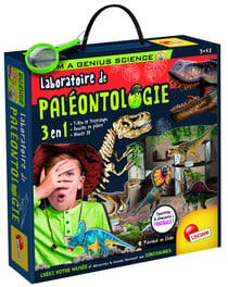 LE LABORATOIRE DE LA PALEONTHOLOGIE