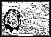 Tableau velours a colorier La famille lions Sericolor
