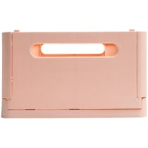 Boîte pliable The Smart Case maxi Skandi - Nude - x 4 - Exacompta