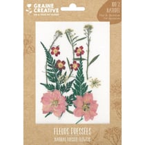FLEURS PRESSEES PRAIRIE ROUGE - 13 PCS