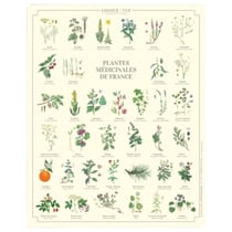 Longue vue editions - Plantes médicinales de France - Affiche 24 x 30 cm
