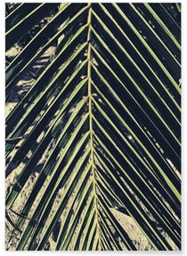 Poster nature Verte n°2 | A3 : 29,7x42cm