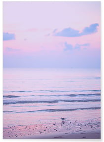 Poster Nature Ciel Rose 5 | A3 : 29,7x42cm
