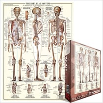 Puzzle 1000 pièces - Le Squelette - Eurographics