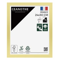 Cadre photo Precious doré 24x30 cm