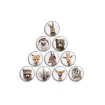 10 cabochons rond en verre assorties 25 mm ANIMAUX